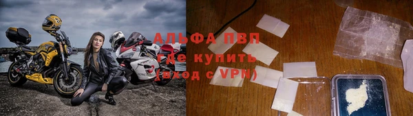 прущий лед Богданович