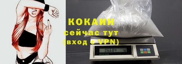 прущий лед Богданович