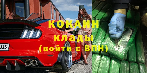 прущий лед Богданович