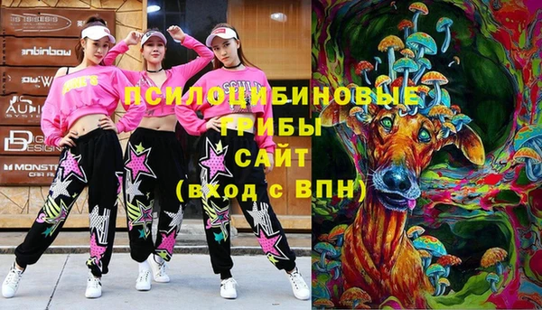 скорость Богородицк