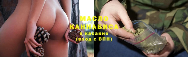 прущий лед Богданович