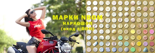 прущий лед Богданович