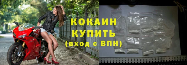 прущий лед Богданович