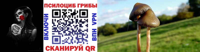 Галлюциногенные грибы мицелий  сколько стоит  Красноармейск 