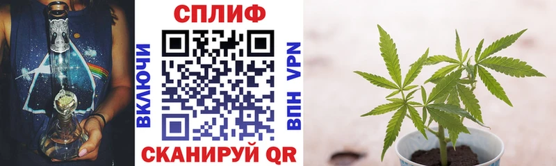 Канабис конопля  где продают наркотики  Красноармейск 
